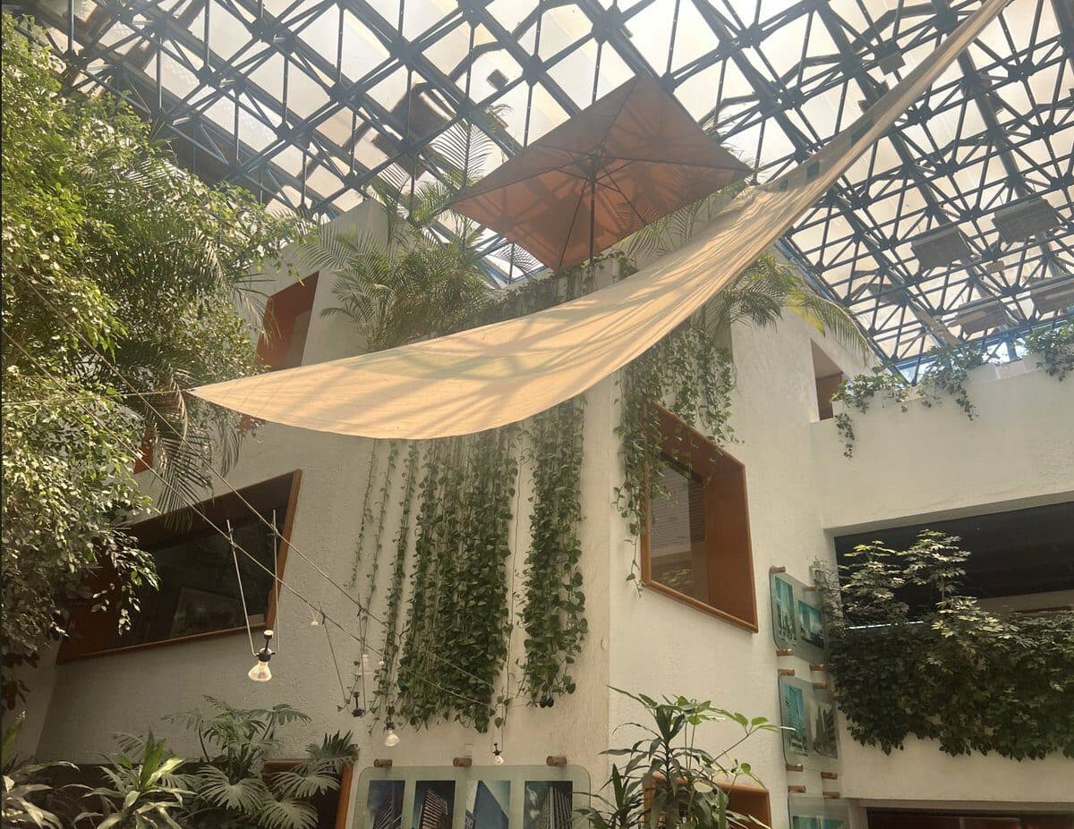 La Casa's glass-roofed atrium, with hanging plants and a canvas sail